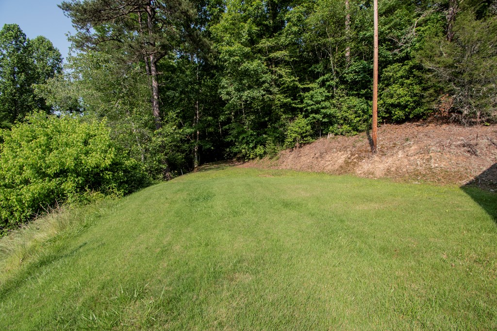 139 Duncan Road Murphy, NC 28906 - Photo 11 of 39