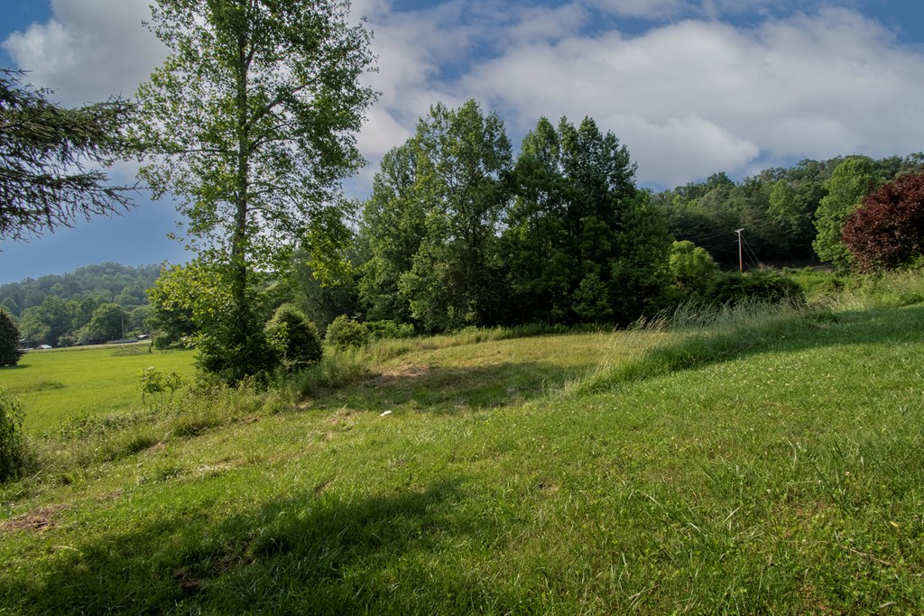 139 Duncan Road Murphy, NC 28906 - Photo 9 of 39