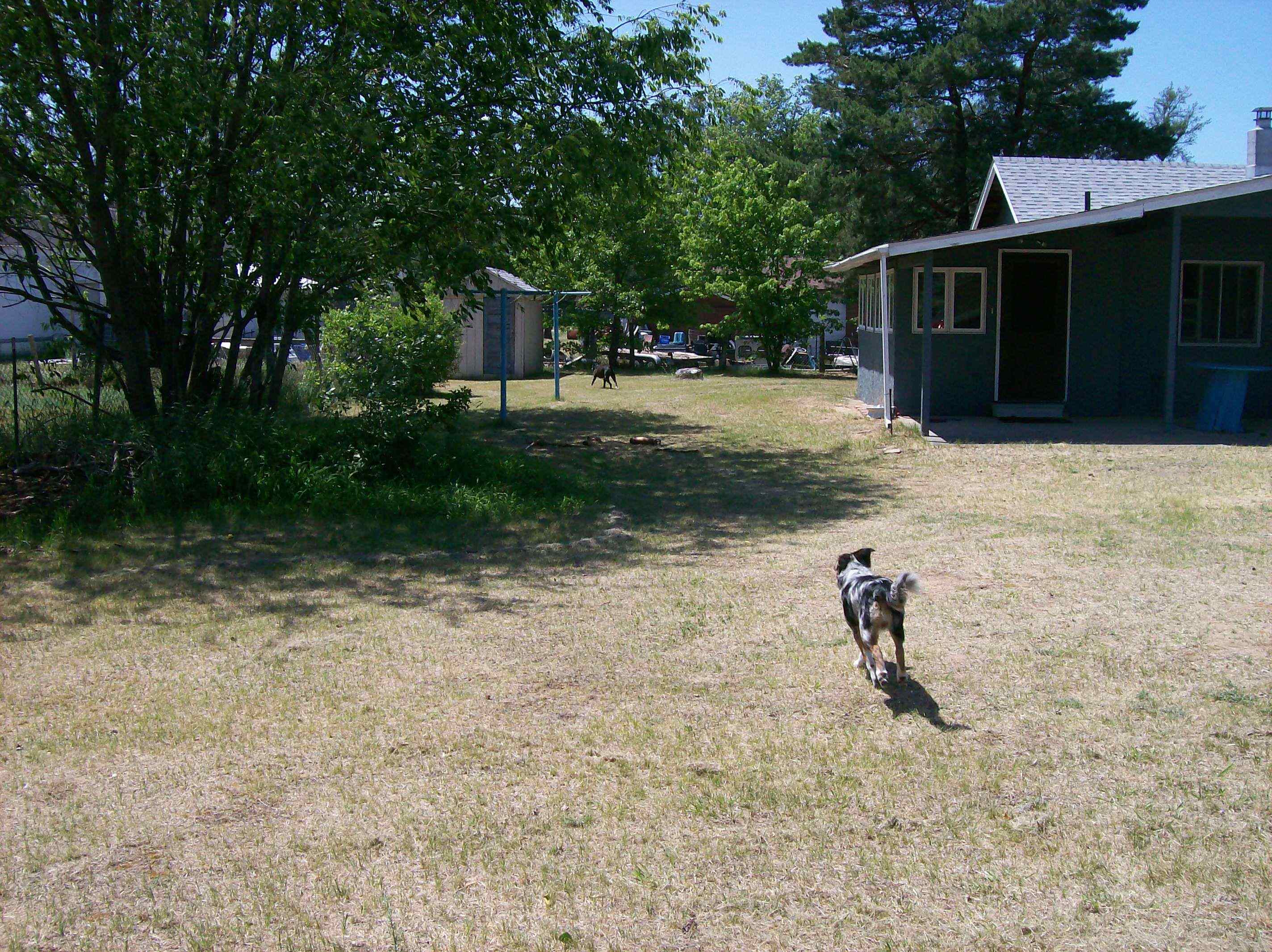 9890 West Carter Road St. Helen, MI 48656 - Photo 21 of 24 1912597-20.JPG
