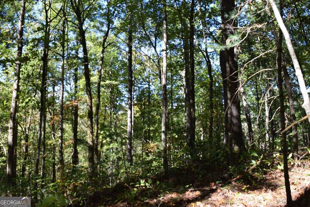 32.98-acres Zion Hill Road Ellijay, GA 30540 - Photo 11 of 12 a view of a yard