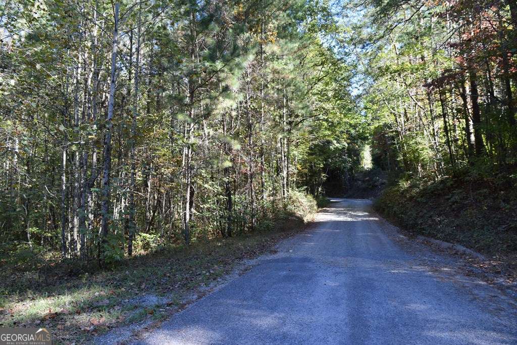32.98-acres Zion Hill Road Ellijay, GA 30540 - Photo 2 of 12 a view of a forest with trees in the background