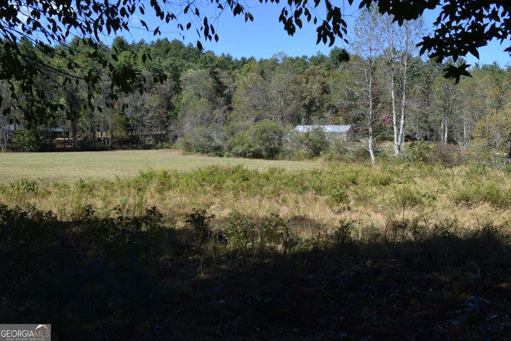 32.98-acres Zion Hill Road Ellijay, GA 30540 - Photo 3 of 12 a view of a yard