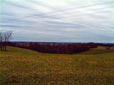 1965 Saltwell Road Carlisle, KY 40311 - Photo 4 of 12 One of the most panoramic views on the f