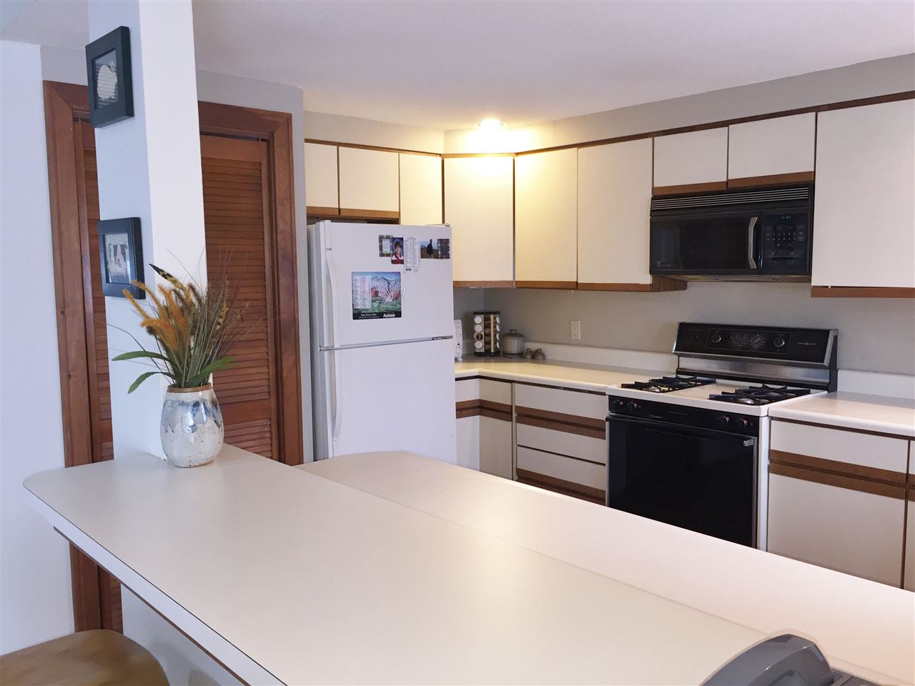38 Birch Landing Road, Unit 1 Plymouth, VT 05056 - Photo 17 of 31