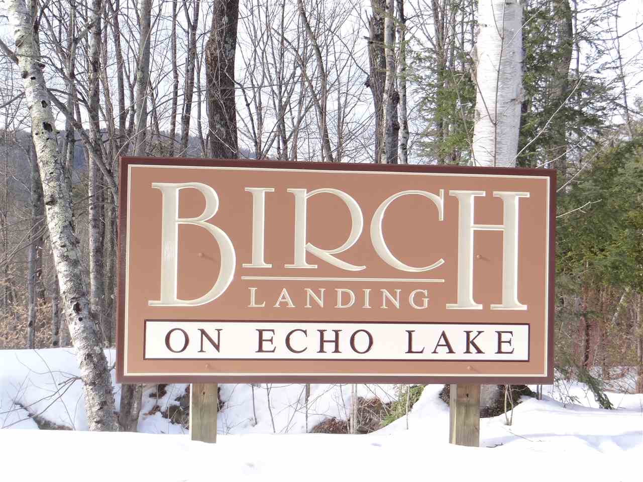 38 Birch Landing Road, Unit 1 Plymouth, VT 05056 - Photo 8 of 31