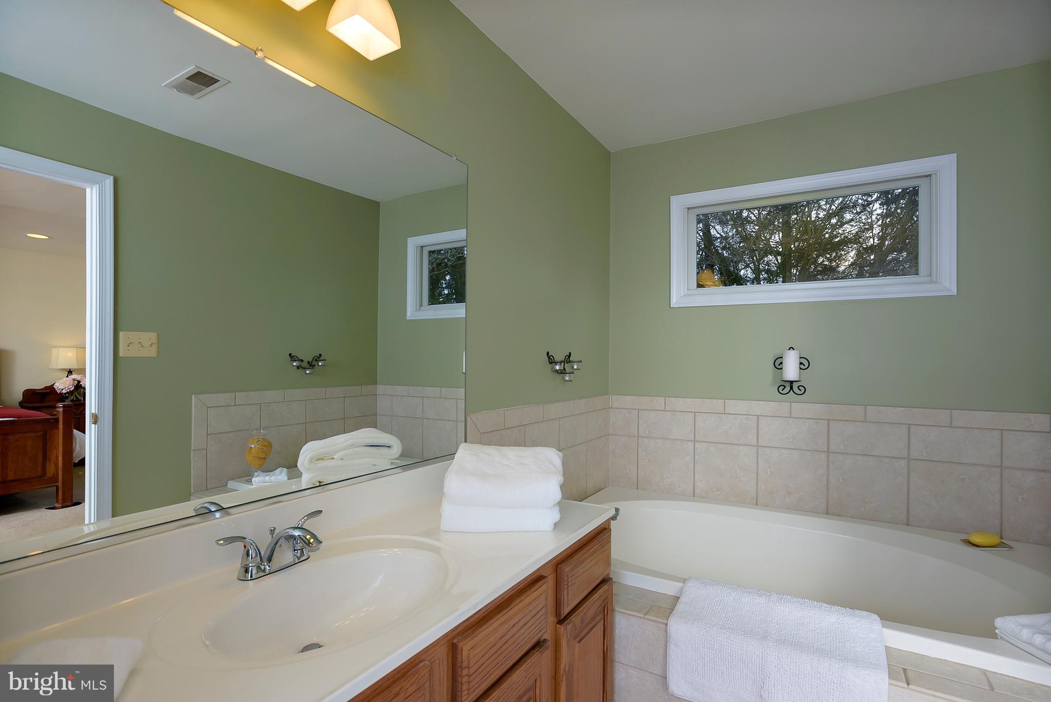 3262 Sharp Road Glenwood, MD 21738 - Photo 13 of 30 Large Soaking Tub