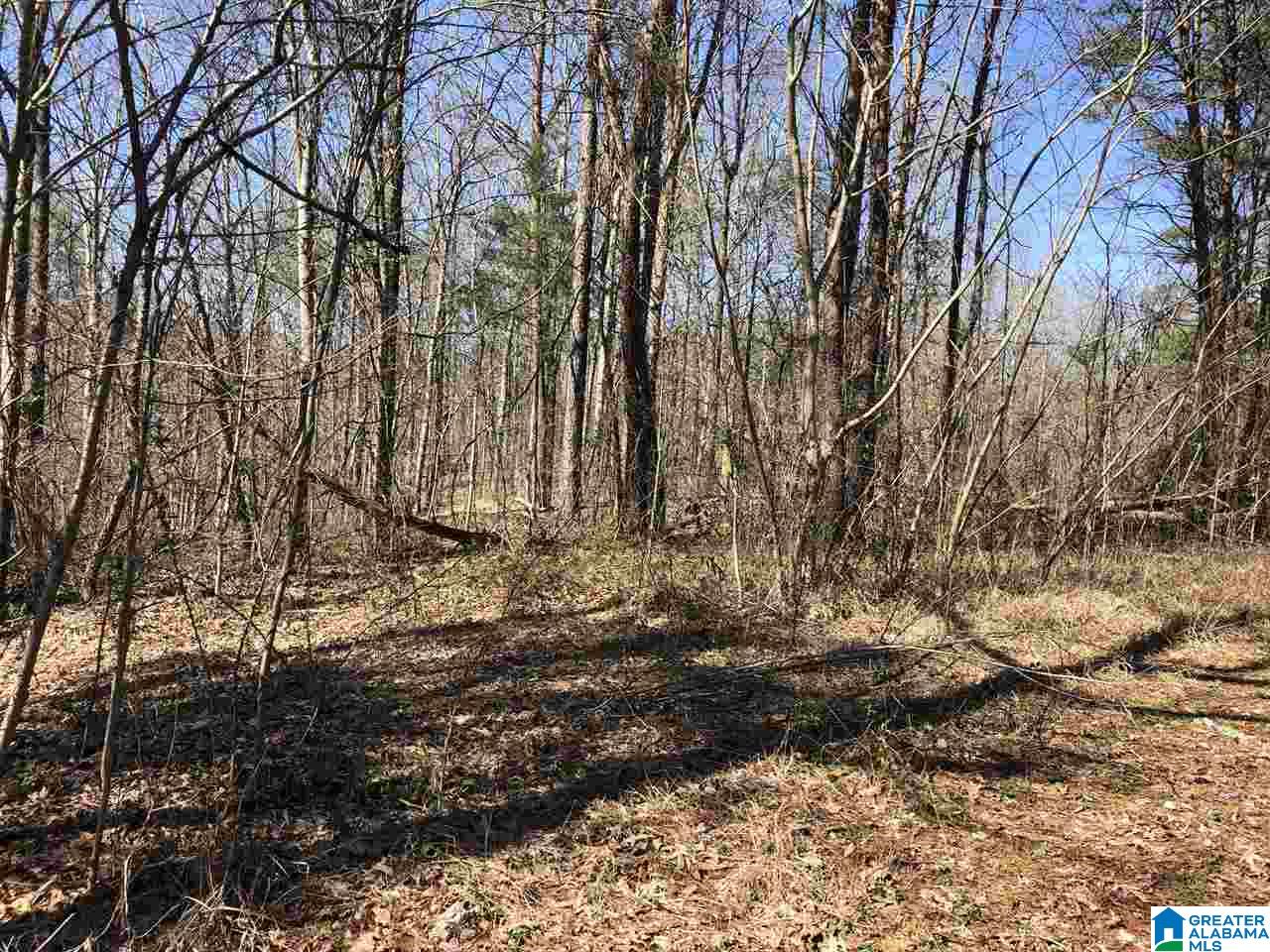 6274 New Castle Road, Unit 19 ACRES Morris, AL 35116 - Photo 14 of 30 Gallery Image 14
