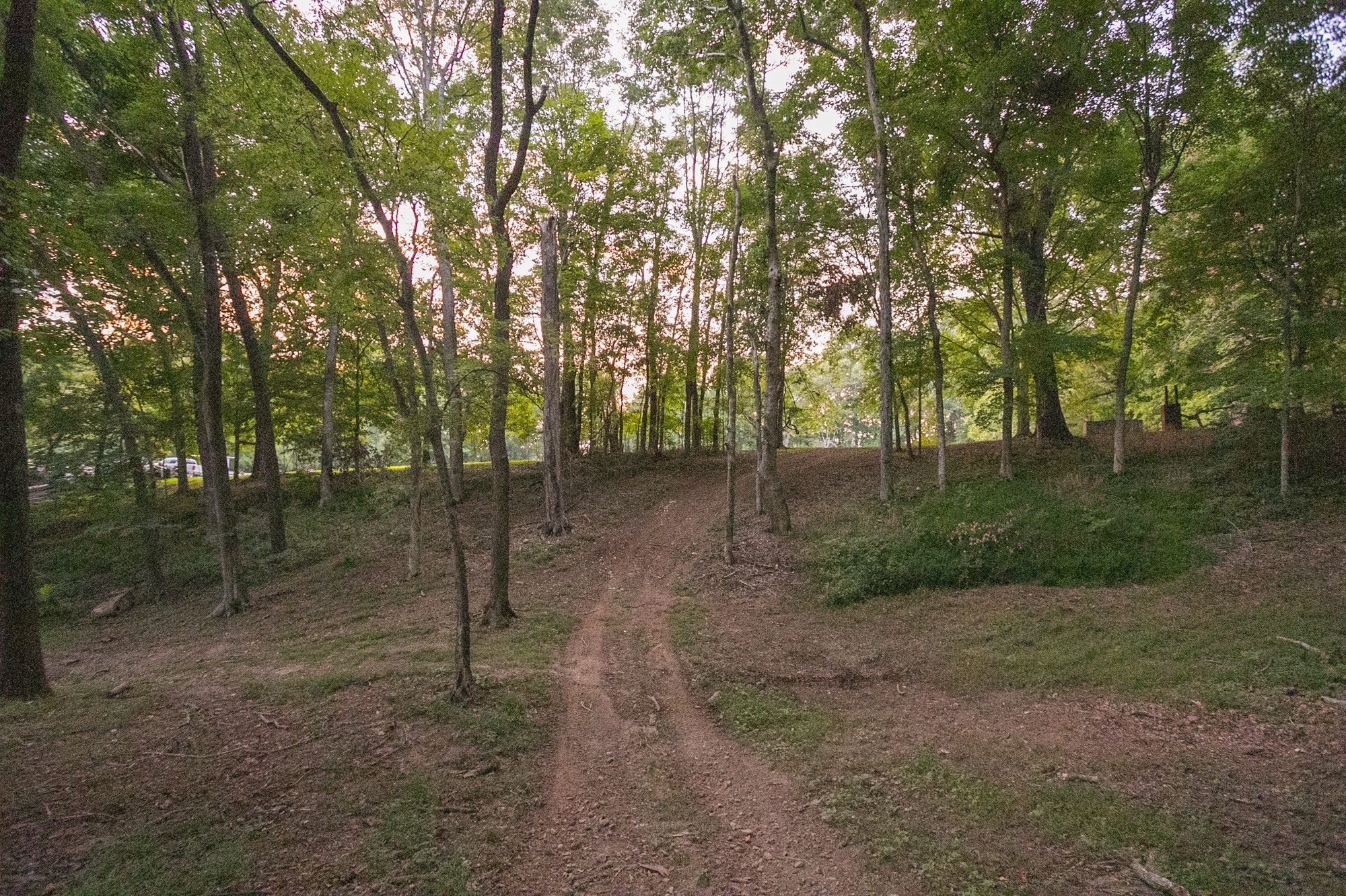 6424 Woodruff Tolleson Road Adams, TN 37010 - Photo 40 of 48 Gallery Image 40
