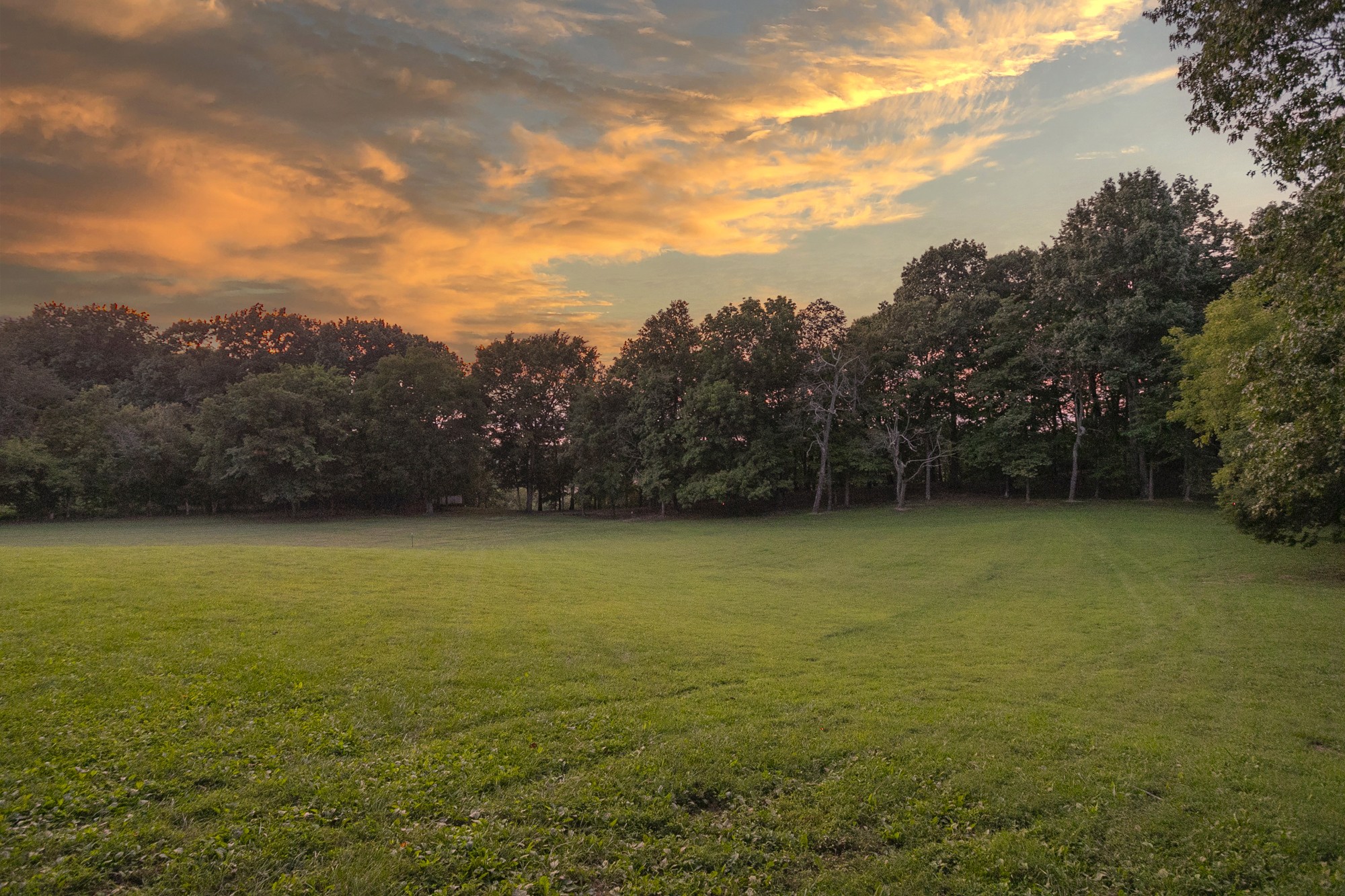 6424 Woodruff Tolleson Road Adams, TN 37010 - Photo 42 of 48 Gallery Image 42