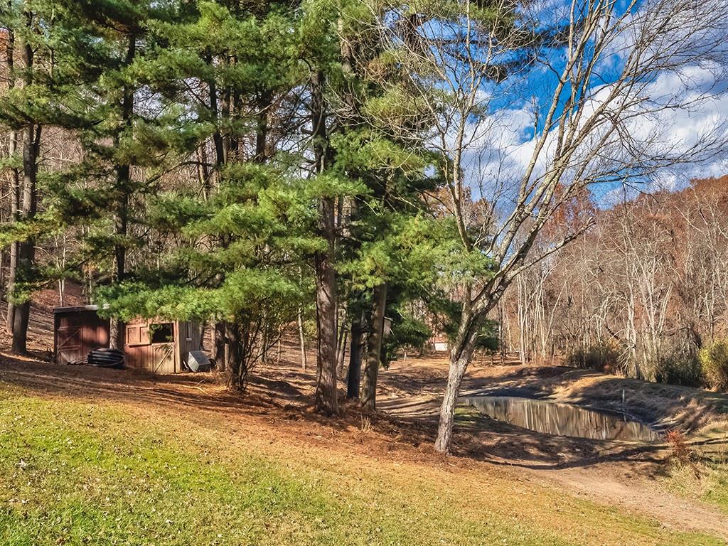 10010 Grubbs Road Wexford, PA 15090 - Photo 4 of 32 Pond and Horse Barn