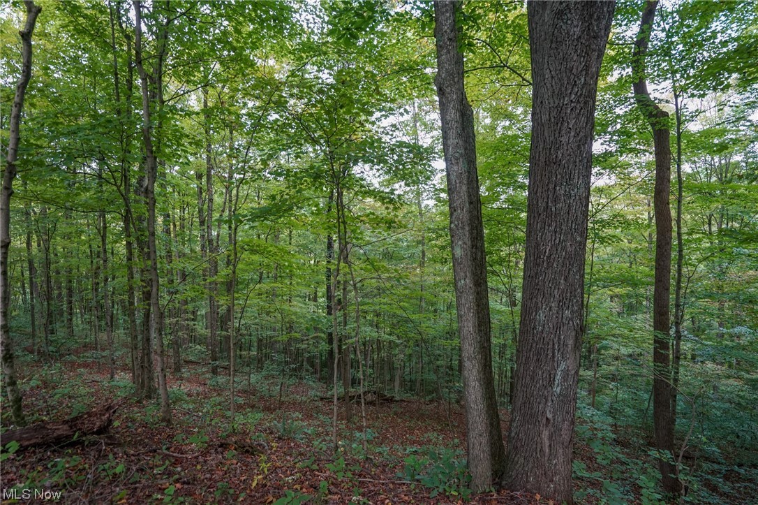 0 Reed Marietta, OH 45750 - Photo 23 of 35 View of mother earth's splendor