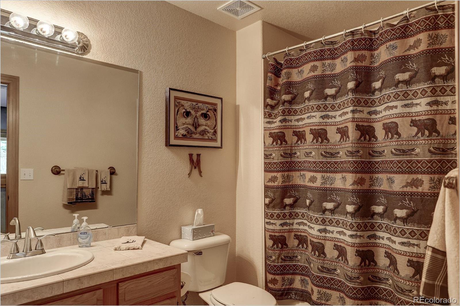 109 Royal Ridge Drive Bailey, CO 80421 - Photo 29 of 39 a bathroom with a sink toilet and shower