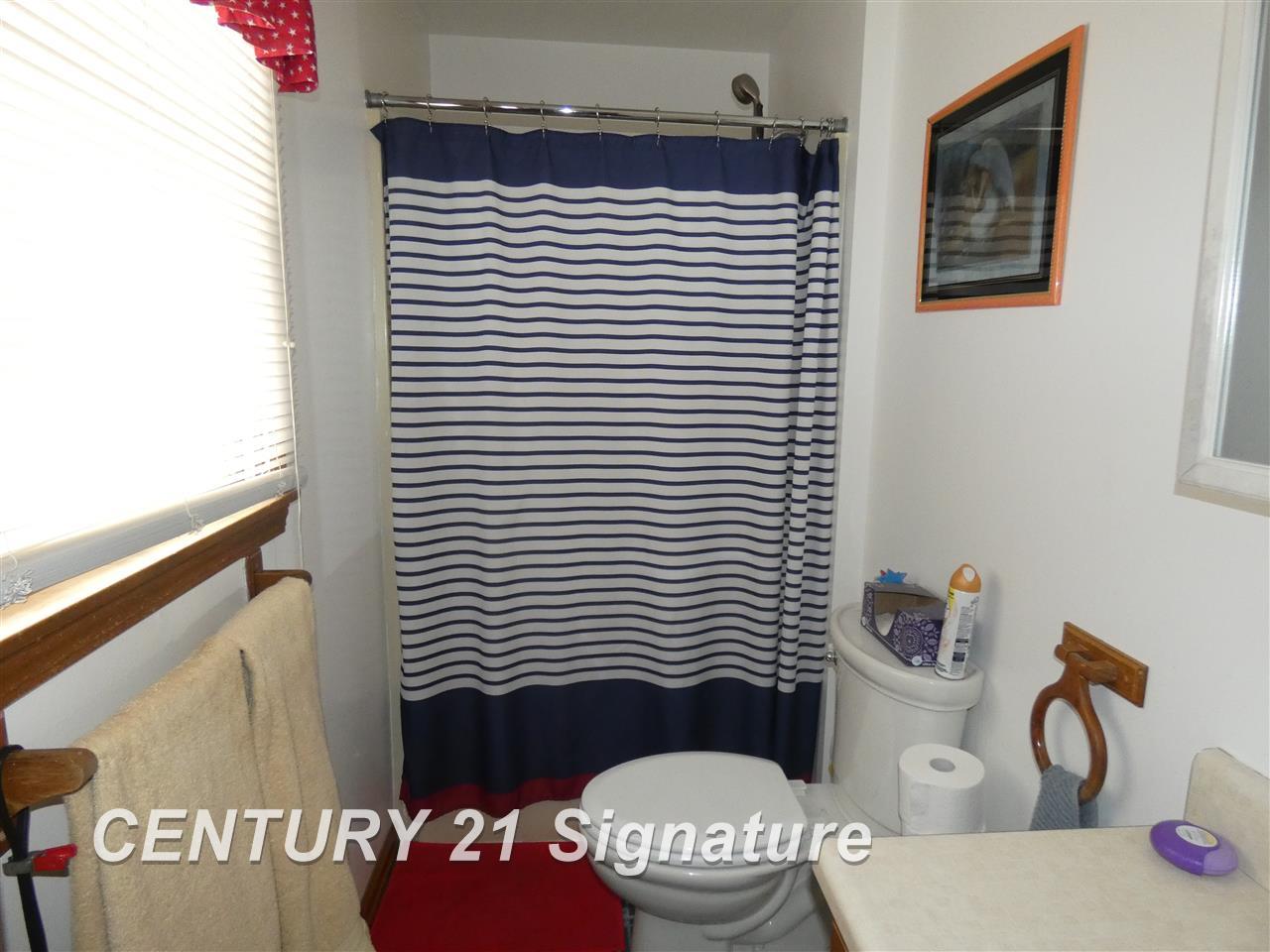11847 Dice Road Freeland, MI 48623 - Photo 10 of 13