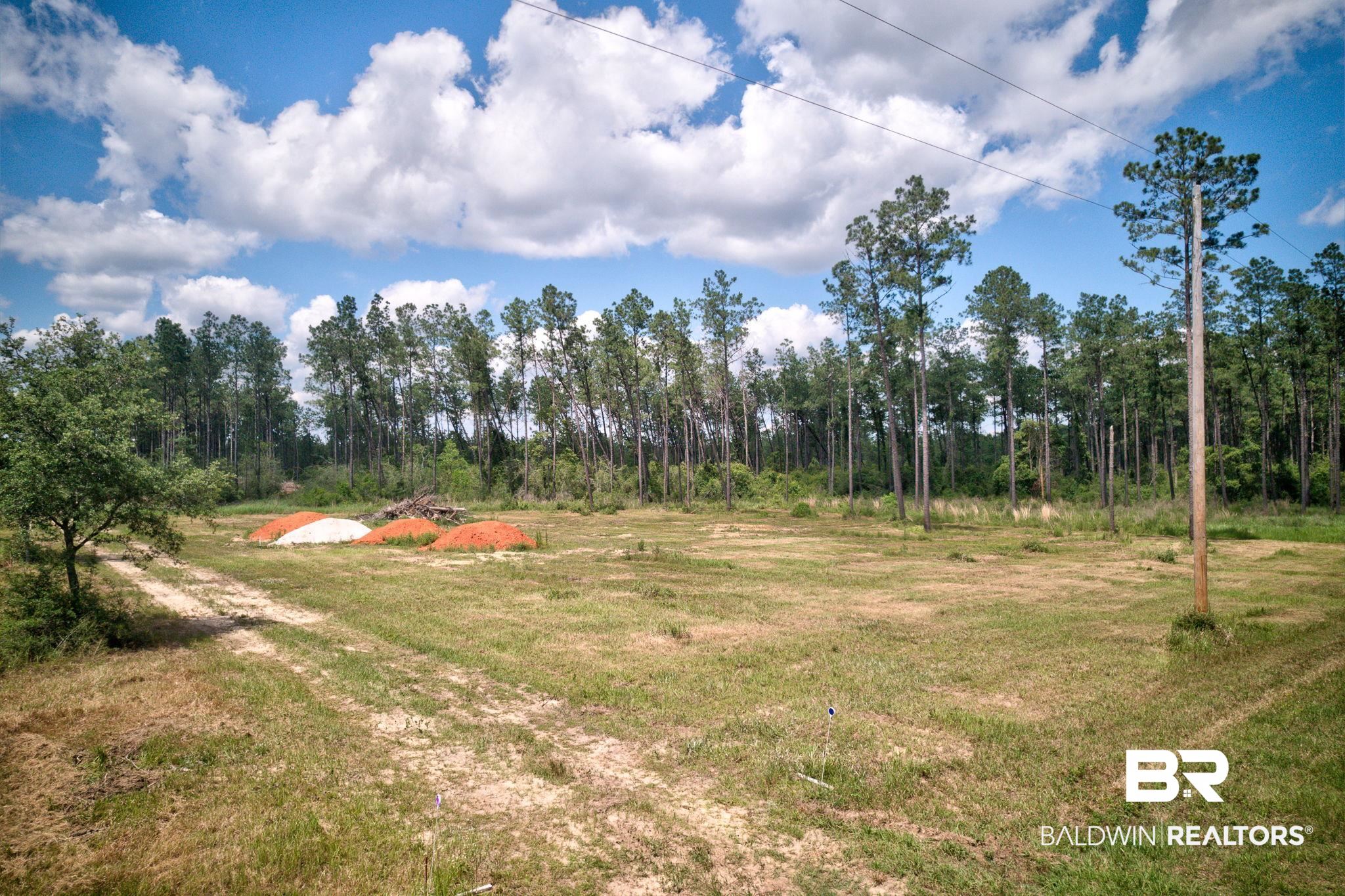 30111 Gardner Road Elberta, AL 36530 - Photo 6 of 29