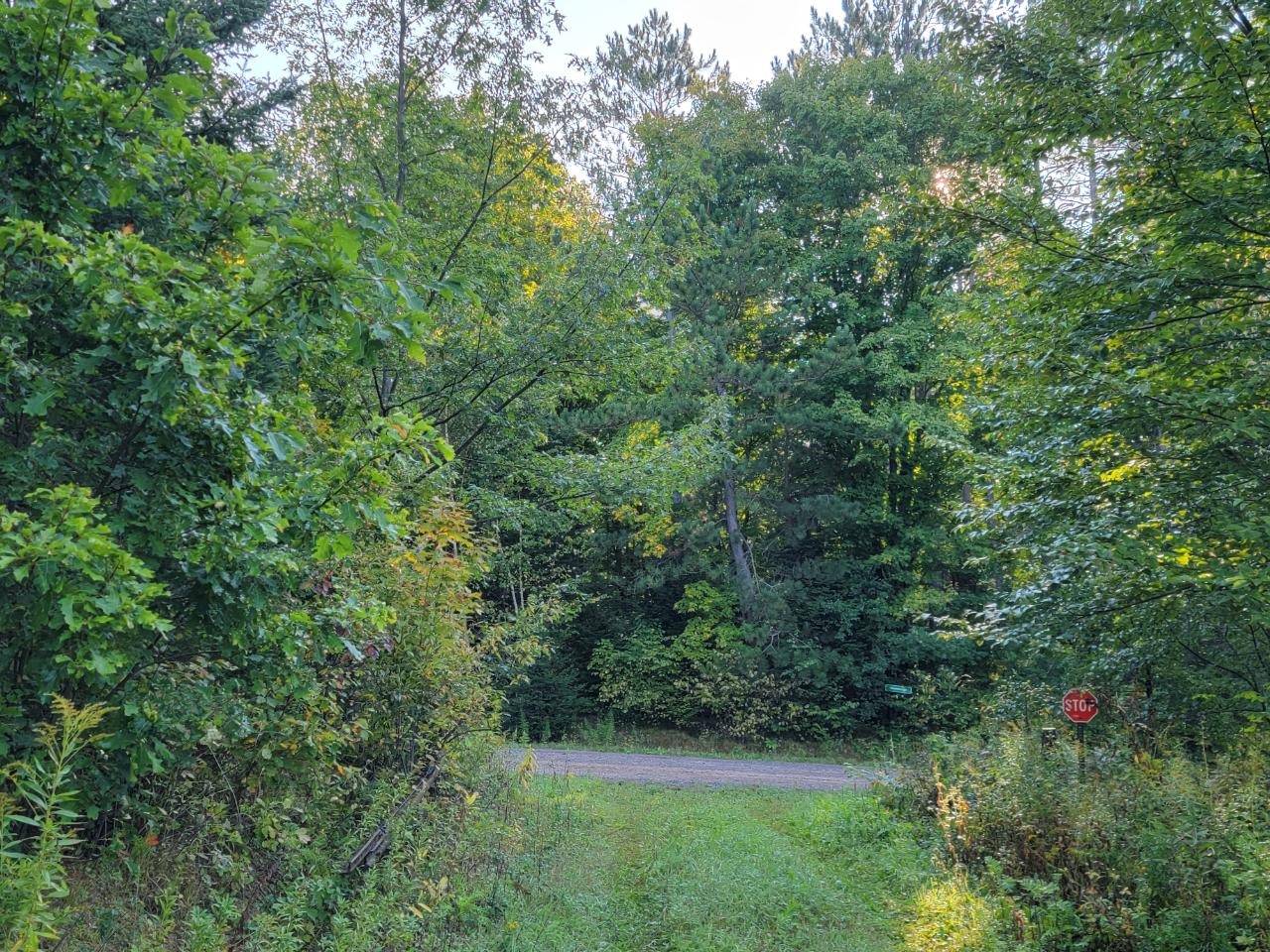 On Polar Road, Unit 80 ACRES Bryant, WI 54418 - Photo 21 of 27 Gallery Image 21