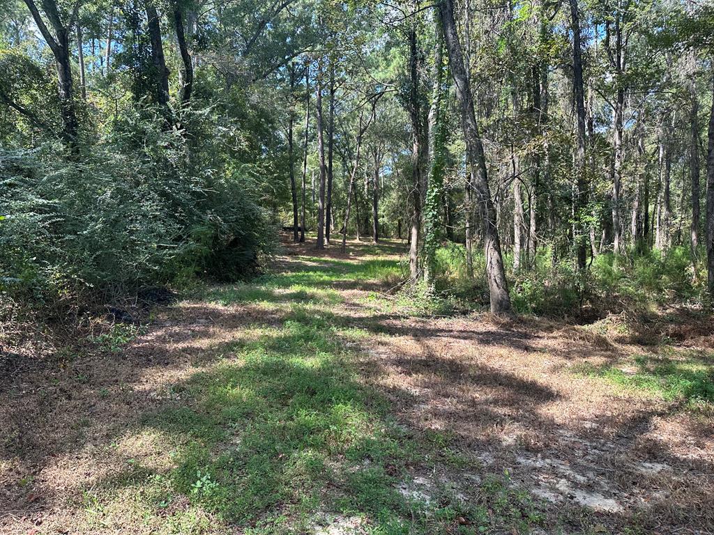 1454 Middleton Road Dothan, AL 36301 - Photo 15 of 21