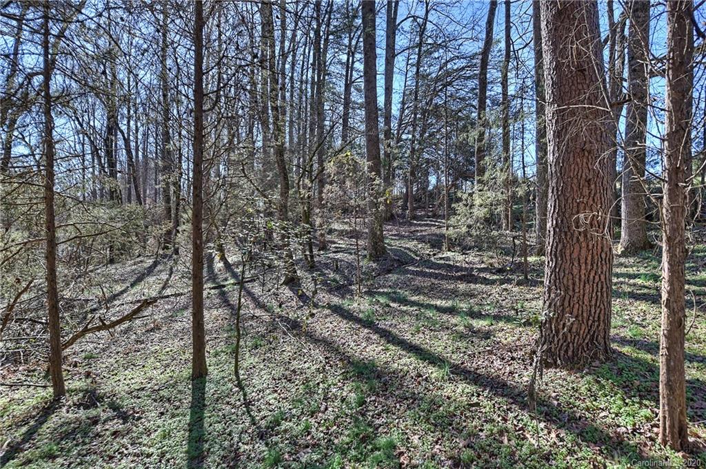1716 St Marks Church Road Crouse, NC 28033 - Photo 41 of 46 Gallery Image 41