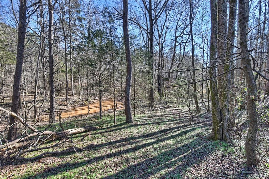 1716 St Marks Church Road Crouse, NC 28033 - Photo 42 of 46 Gallery Image 42