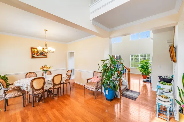 a view of a dining room with furniture a potted plant and wooden floor