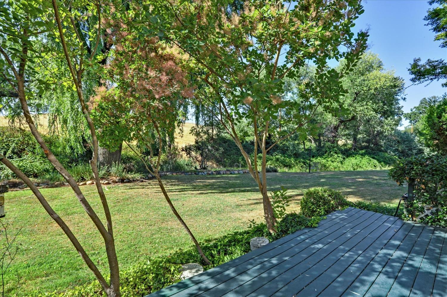 515 Clinton Road Jackson, CA 95642 - Photo 26 of 29 a view of a lake with a large trees