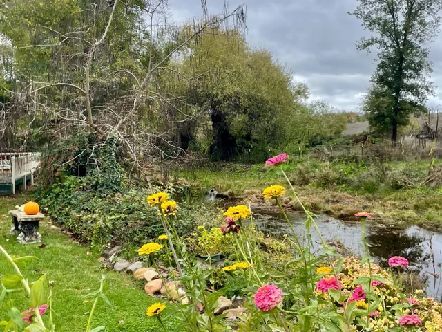 a view of a house with a backyard and garden