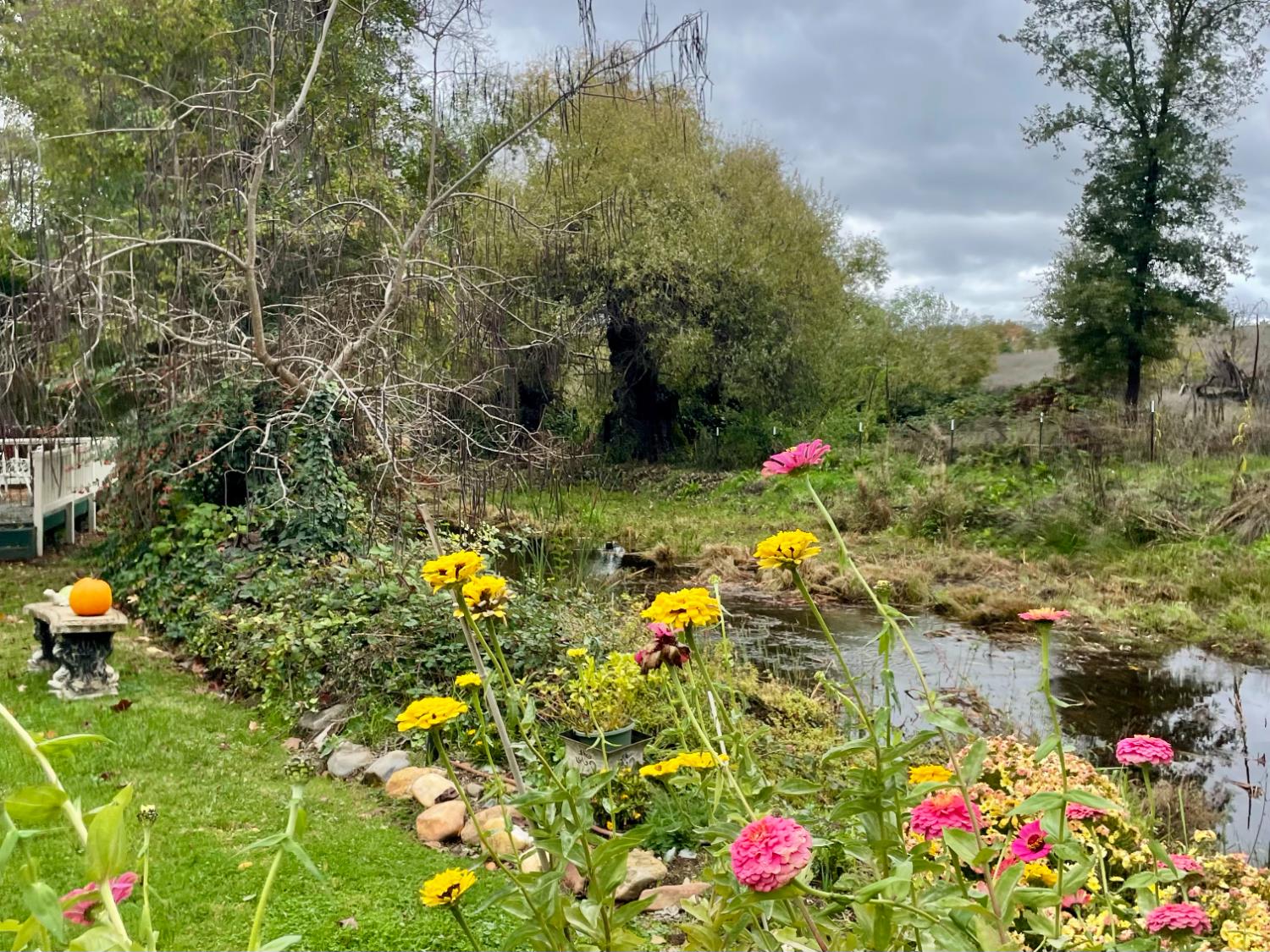 515 Clinton Road Jackson, CA 95642 - Photo 29 of 29 a view of a house with a backyard and garden