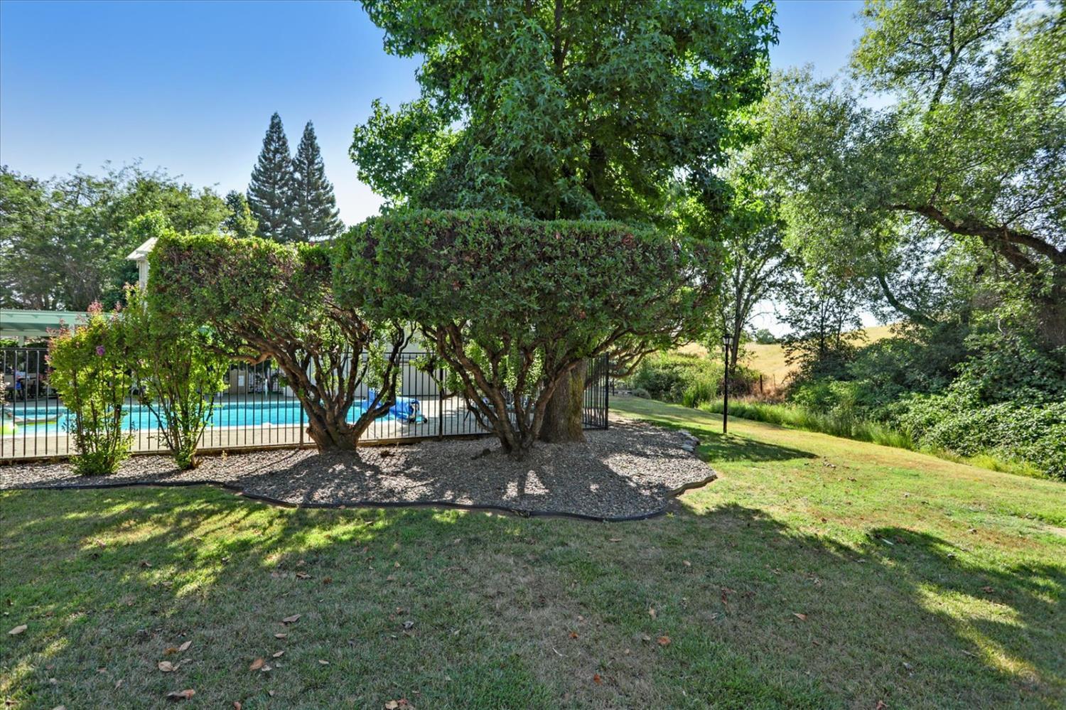 515 Clinton Road Jackson, CA 95642 - Photo 5 of 29 a view of a tree in a park