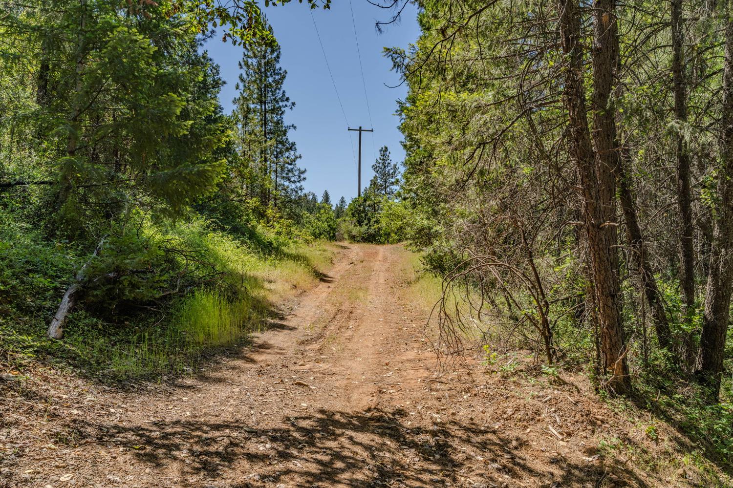 0 Schaefer Ranch Road Pioneer, CA 95666 - Photo 2 of 72
