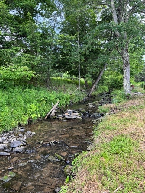 2391 Pines Brook Road Walton, NY 13856 - Photo 1 of 19 Gallery Image 1