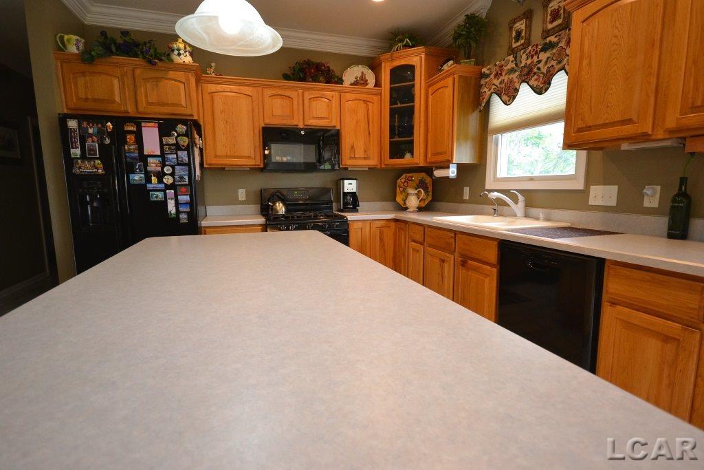 3167 Cobblestone Ridge Tecumseh, MI 49286 - Photo 11 of 23 31348110-10.JPG
