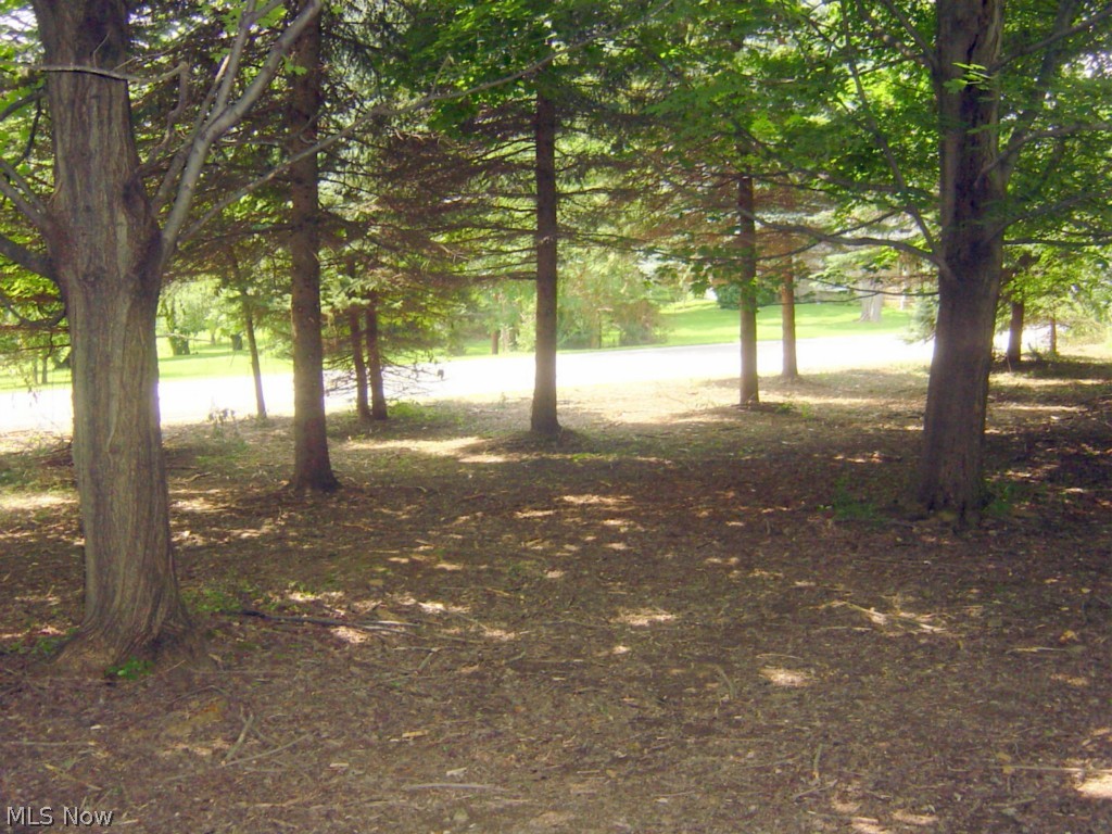 1111 North Medina Line Road Akron, OH 44333 - Photo 7 of 16