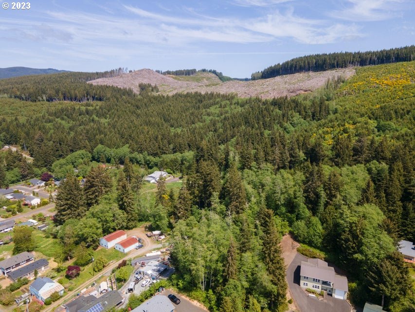 Rector Street Wheeler, OR 97147 - Photo 11 of 13 an aerial view of residential houses with outdoor space and trees