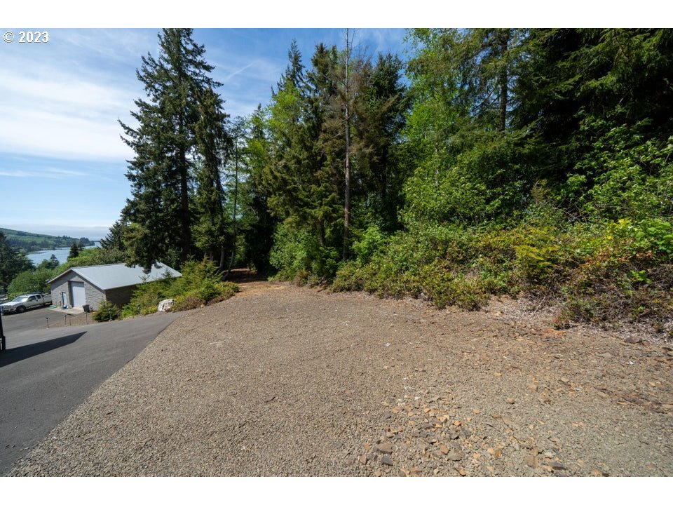 Rector Street Wheeler, OR 97147 - Photo 13 of 13 a view of a yard with a tree