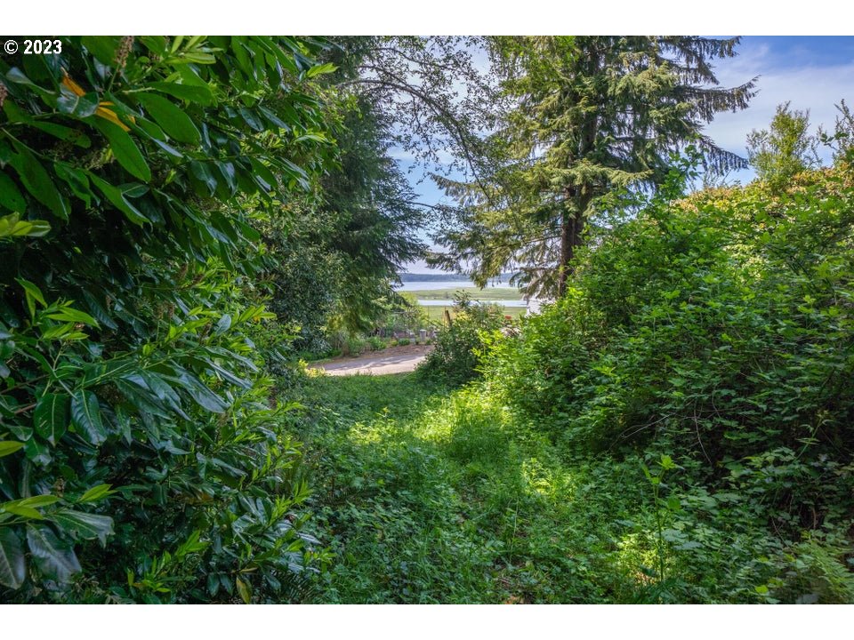 Rector Street Wheeler, OR 97147 - Photo 2 of 13 a view of a big yard of a house