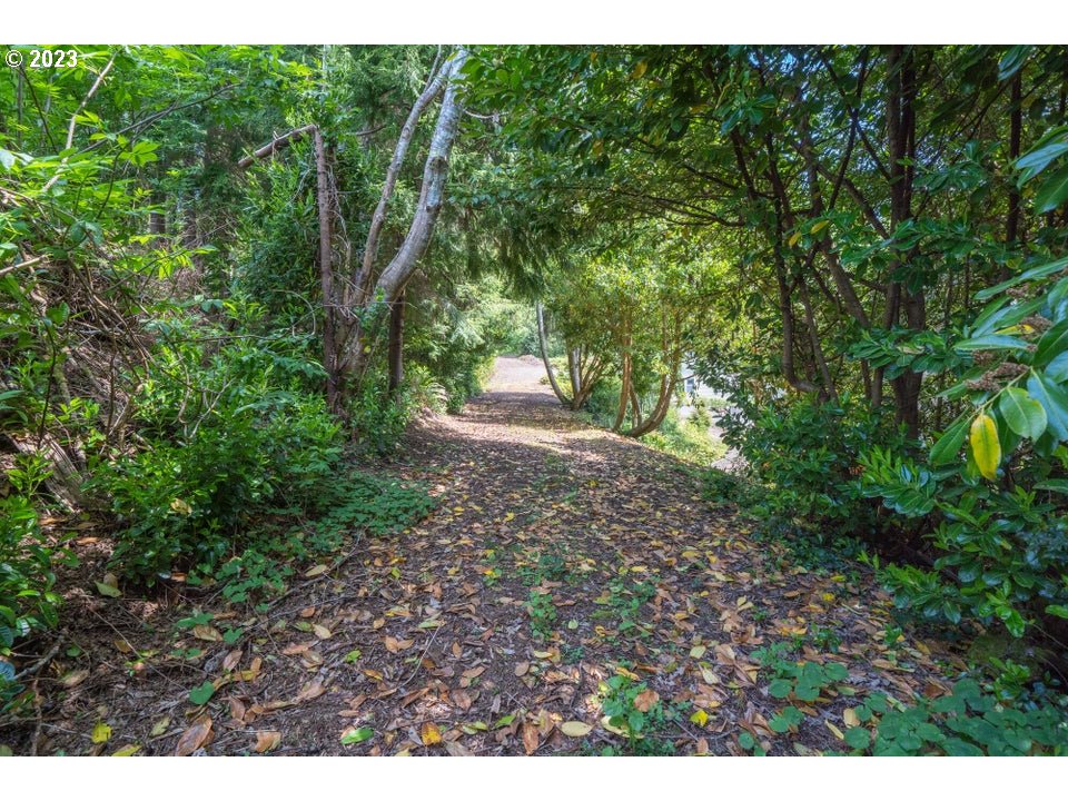 Rector Street Wheeler, OR 97147 - Photo 4 of 13 a view of a yard with plants and a tree