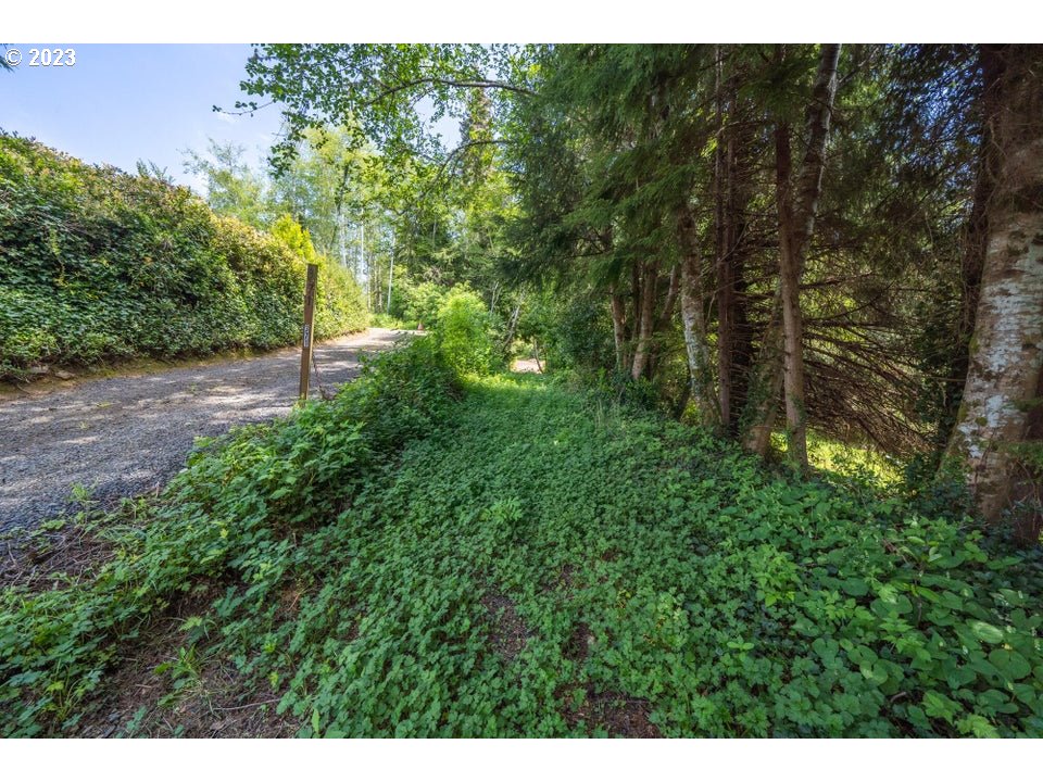 Rector Street Wheeler, OR 97147 - Photo 6 of 13 a view of a yard