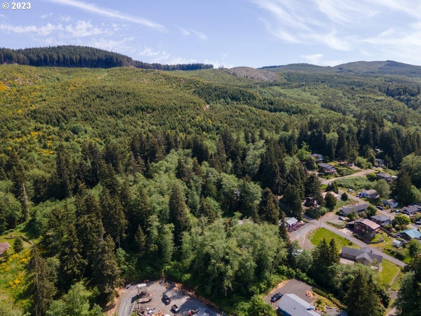 Rector Street Wheeler, OR 97147 - Photo 9 of 13 a view of a city with lush green forest