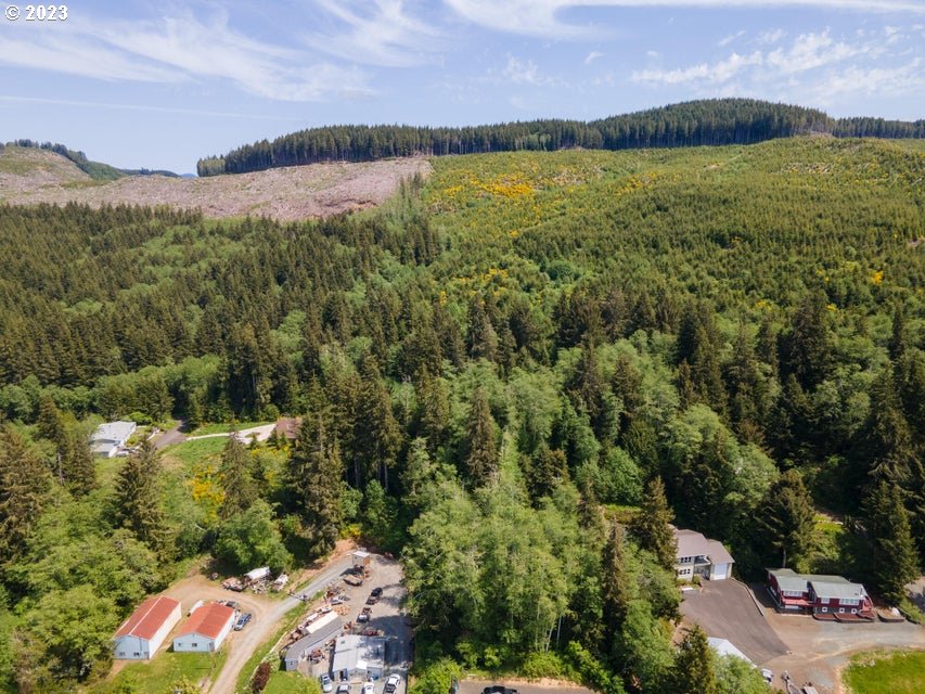 Rector Street Wheeler, OR 97147 - Photo 10 of 13 a view of an ocean and a mountain
