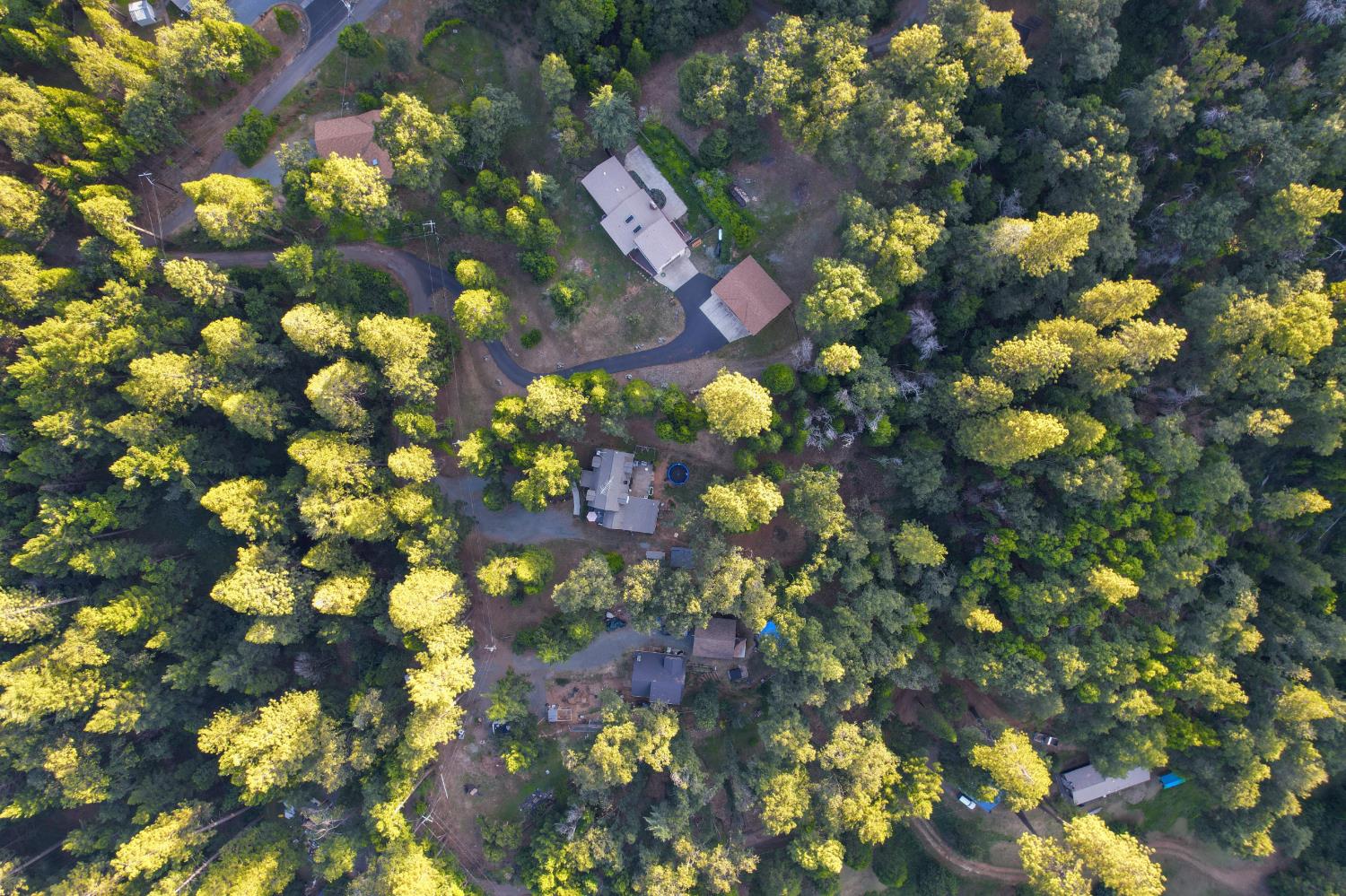 2708 Illinois Canyon Road Georgetown, CA 95634 - Photo 40 of 50