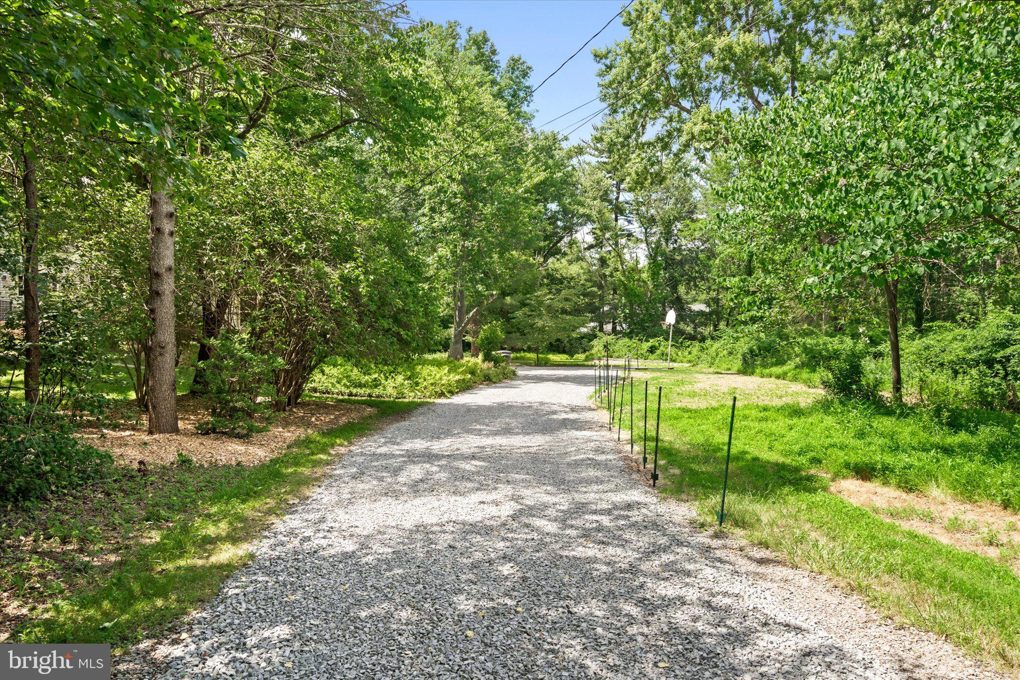 913 Mercer Road Princeton, NJ 08540 - Photo 46 of 47 Driveway