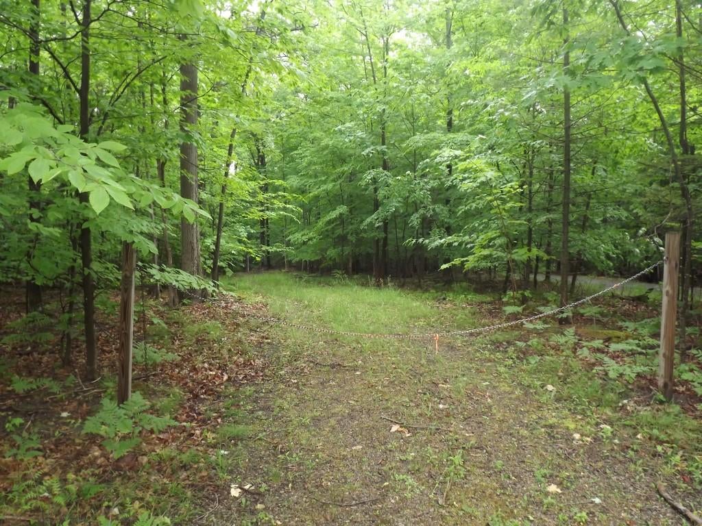 East Mullett Lake Road Indian River, MI 49749 - Photo 16 of 42 Gallery Image 16