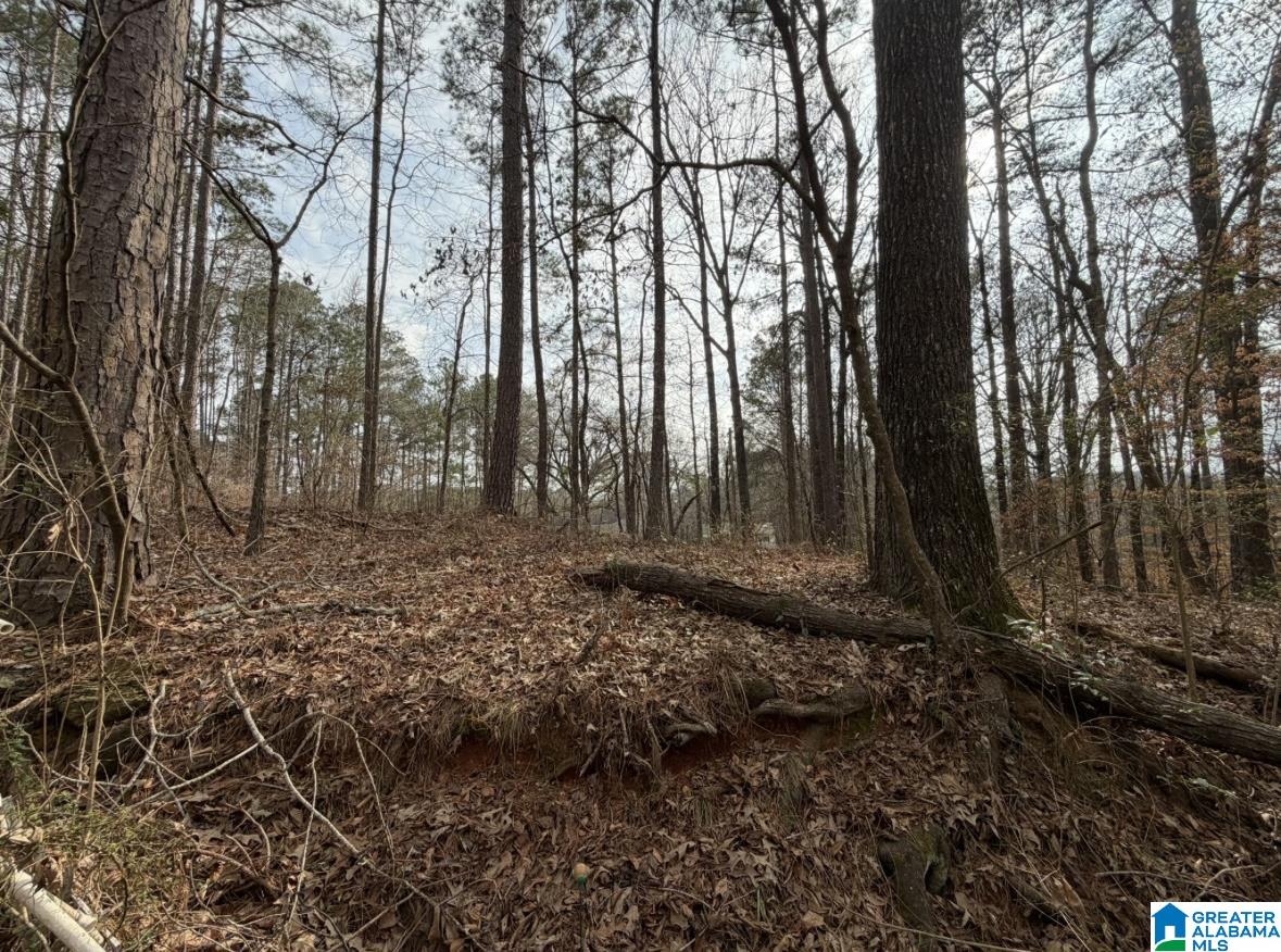 1069 Midway Estates Road Jacksons Gap, AL 36861 - Photo 26 of 26