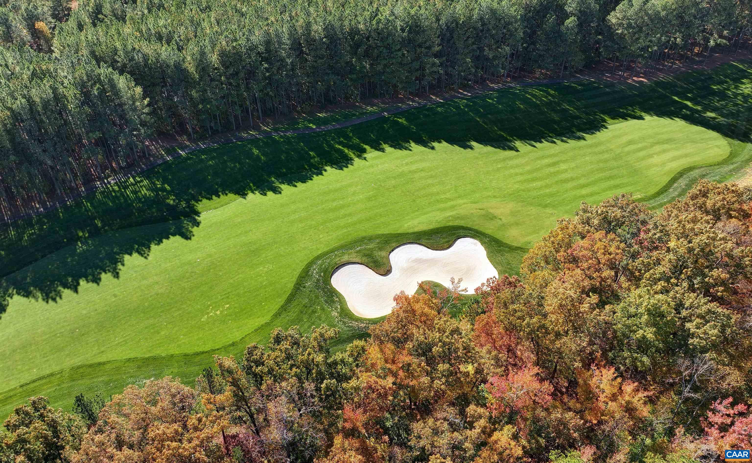 289 Appalachian Lane Zion Crossroads, VA 22942 - Photo 3 of 50 Backs to 12th Golf Hole