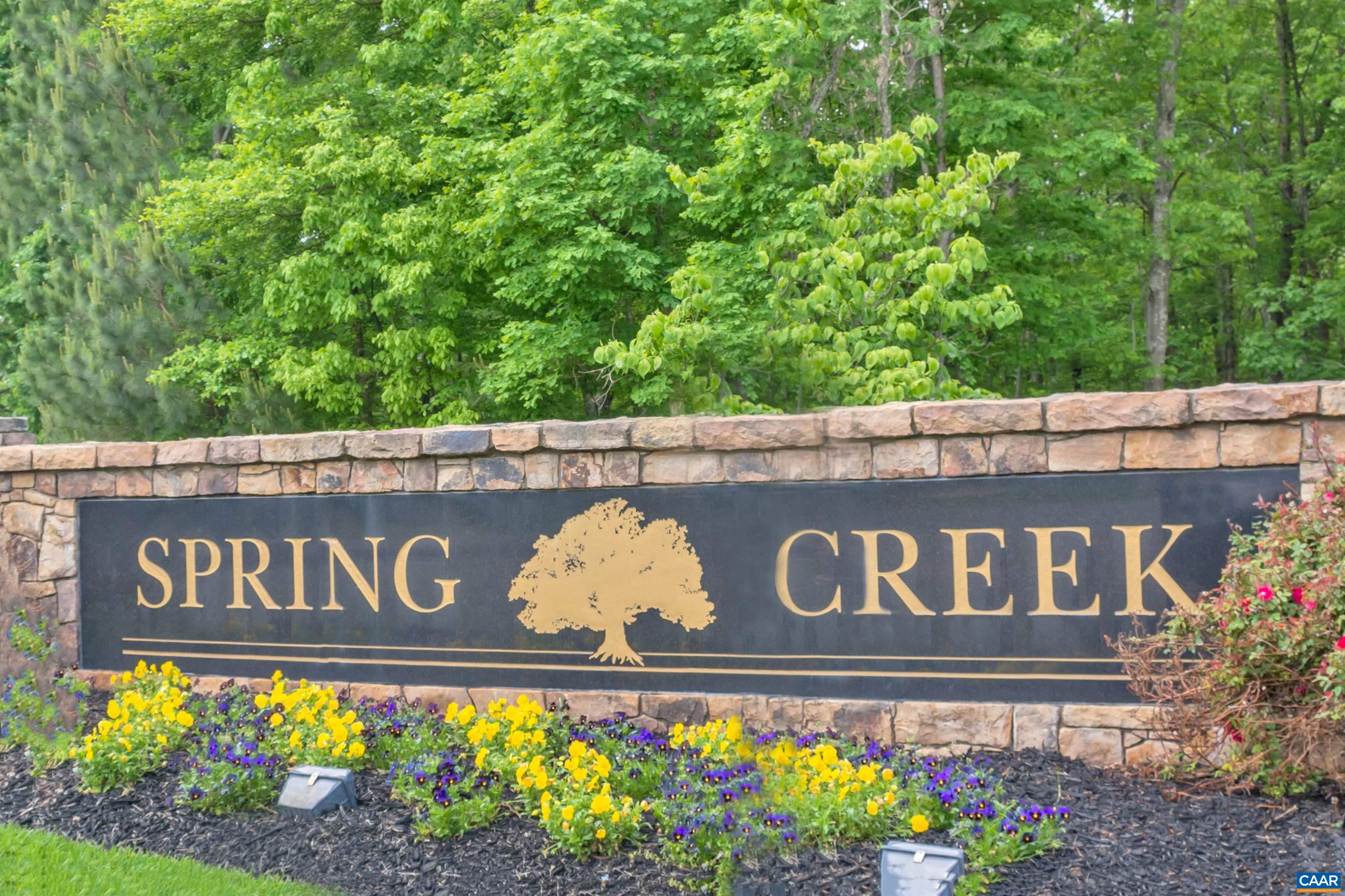 289 Appalachian Lane Zion Crossroads, VA 22942 - Photo 39 of 50 Gated Community