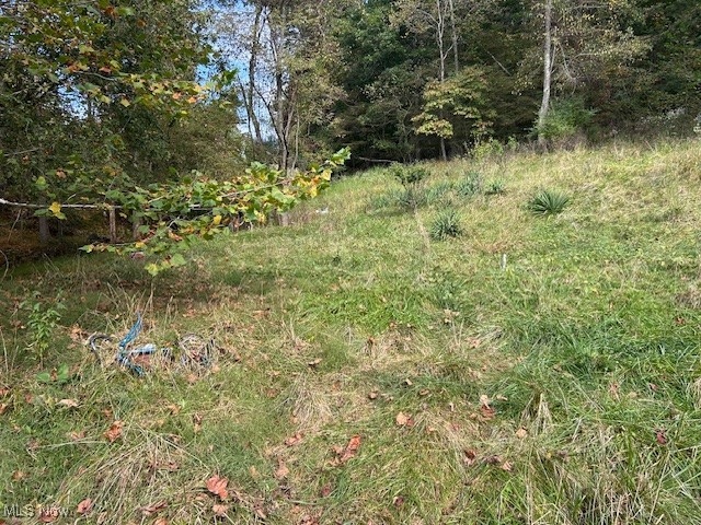 1990 Meathouse Fork Road Ravenswood, WV 26164 - Photo 10 of 14