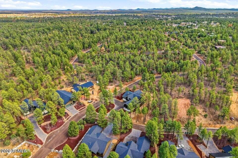 2381 West Bench Road Show Low, AZ 85901 - Photo 39 of 45 a view of a yard with plants and large trees
