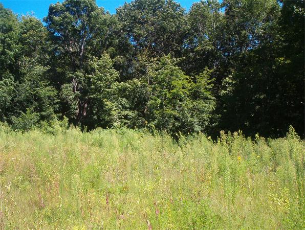 0 Pine Street Maynard, MA 01754 - Photo 2 of 3