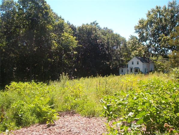 0 Pine Street Maynard, MA 01754 - Photo 3 of 3