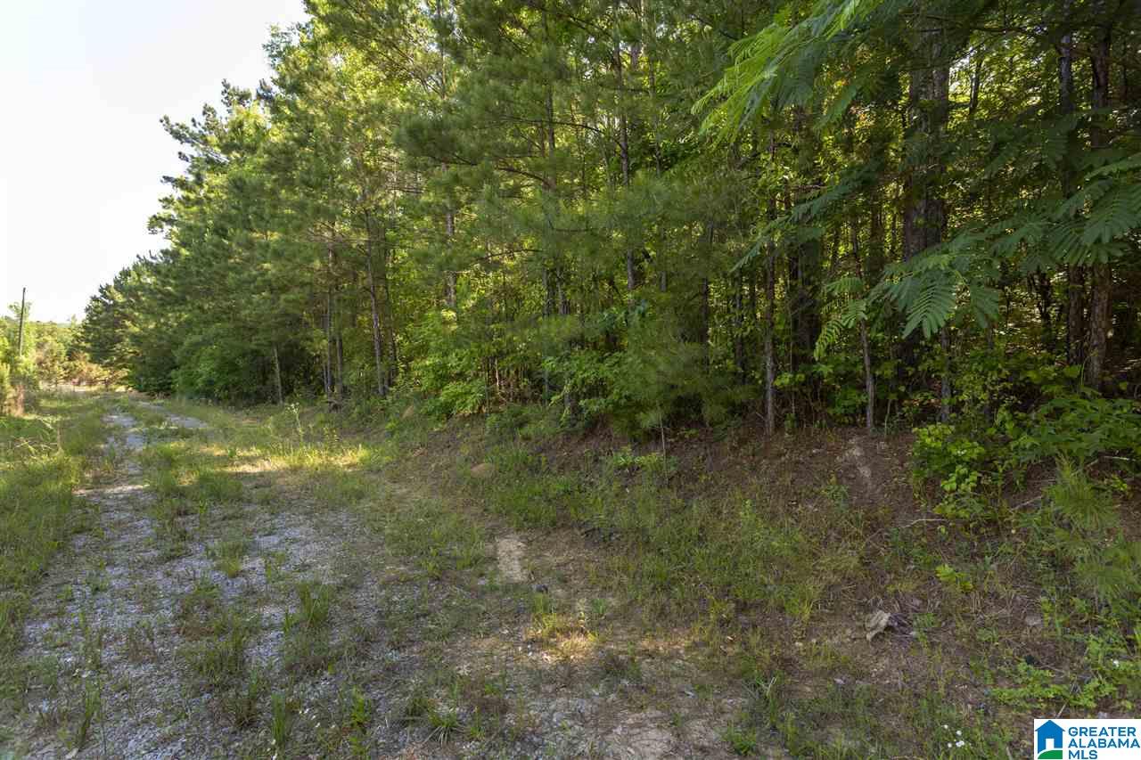 948 Old Deer Creek Road Sterrett, AL 35147 - Photo 6 of 19