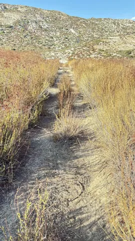 a view of a yard covered in snow